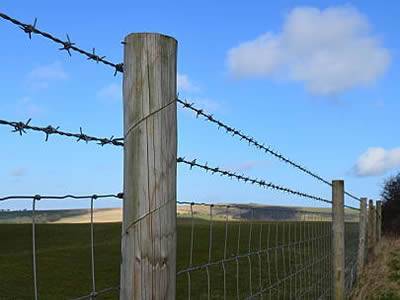 Under the blue sky, two barbed wires are fixed on several wooden posts.