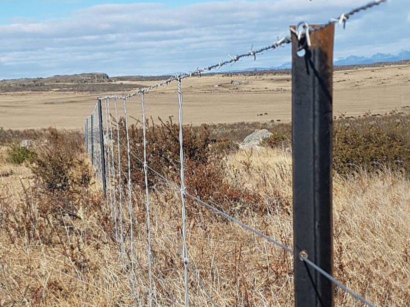Barbed wire fences are fixed by Y post.