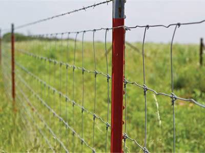 T posts with red color support the field fence and bared wire.