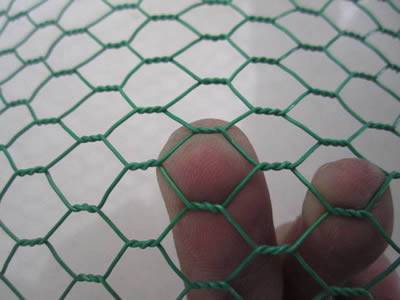 Hexagonal wire mesh is coated with green PVC.