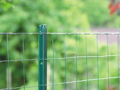 A green color L post is holding the Holland wire fence in the garden.