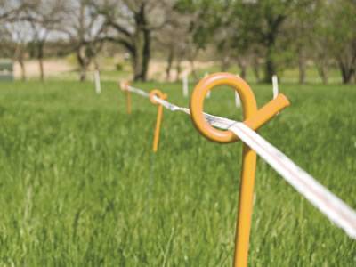 Yellow pigtail posts are installed in the grassland with tapes in the insulator.
