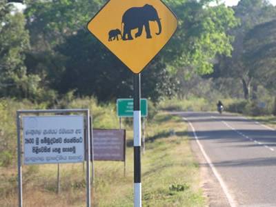 White and black color round sign post is erected on the roadside supporting a board of elephant passing.