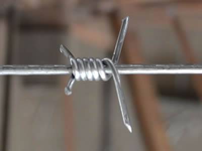 There is a single twist barbed wire with two long barbs.