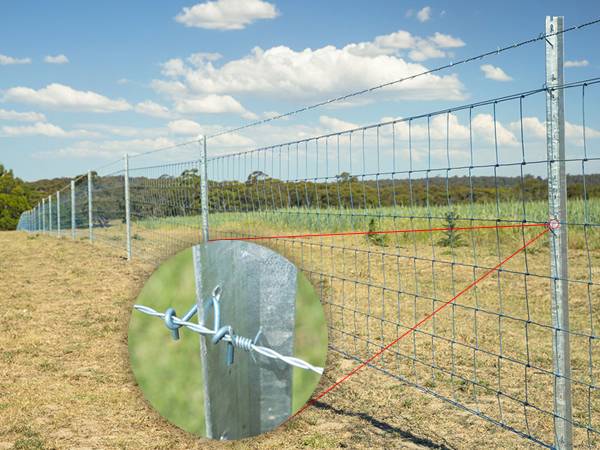 Fence field and star pickets are connected together to form a closed farm structure.