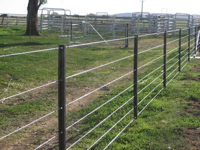 Star pickets and Seven lines of steel wires are installed around the horse farm.