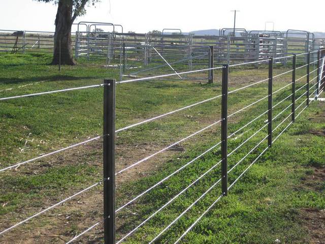 Black bitumen star pickets are used in the farm and supporting steel wires.