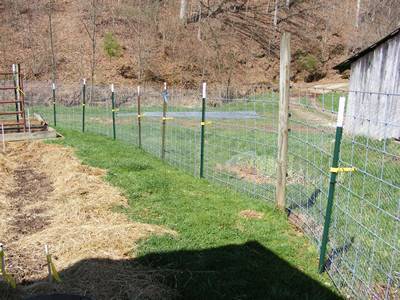studded T posts are installed surrounding the house.