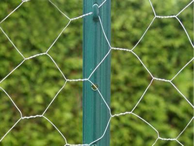 The galvanized chicken wire is fastened onto the green painted U post.