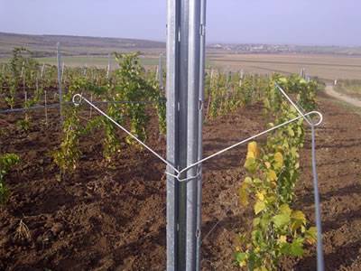A galvanized vineyard post with several trellis wires on the body.
