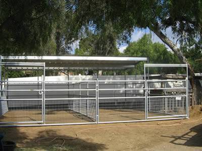 Under the trees, there is a big shelter divided by welded cattle fence into two parts.